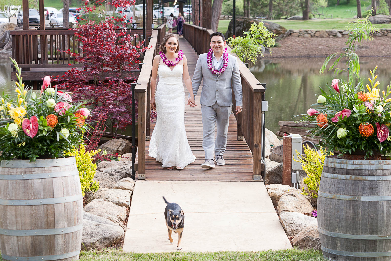 Jerseydale, wedding reception, Mariposa, California